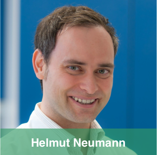 Helmut Neumann